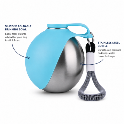 2 in 1 Portable Dog Water Bottle | Foldable Bowl for Walking