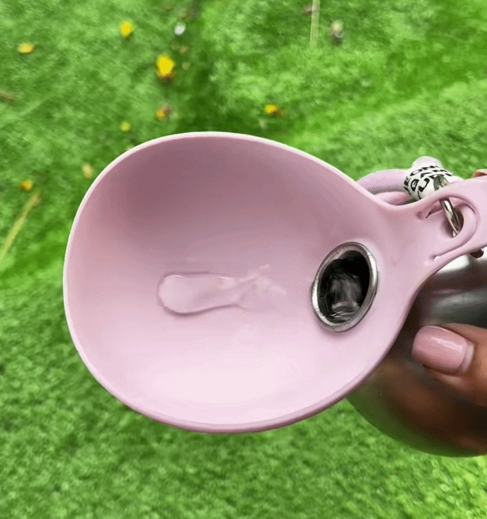 2 in 1 Portable Dog Water Bottle | Foldable Bowl for Walking